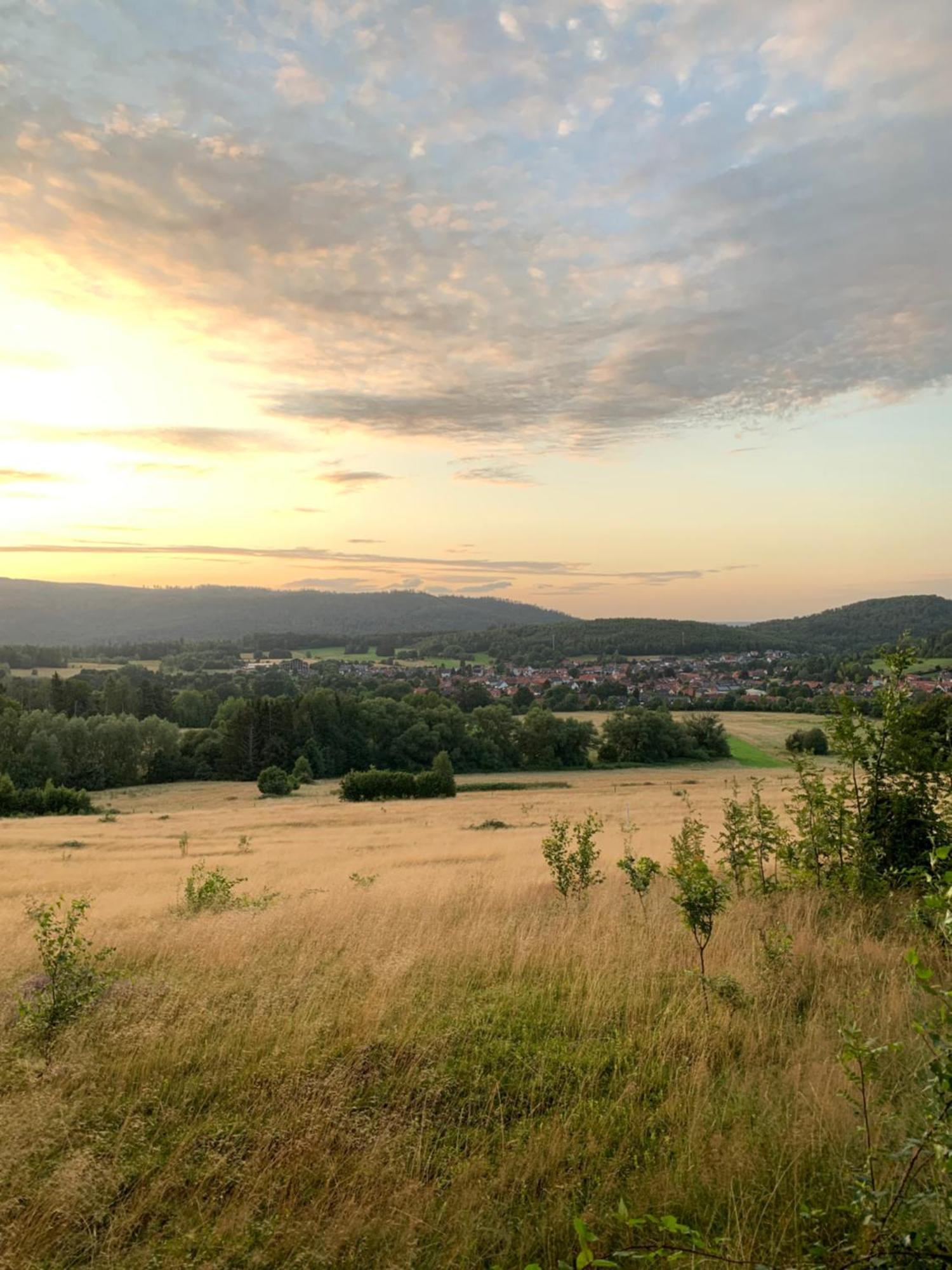 Wolfs-Blick Langelsheim Exterior foto